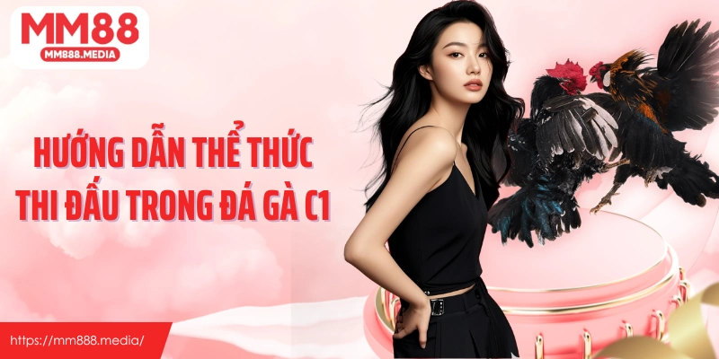 Hướng dẫn thể thức thi đấu trong đá gà C1